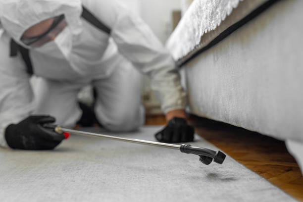 Professional Bed Bug Control technician working in East Hampton North, NY